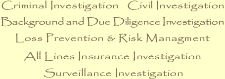 Our Investigaton and Detective Services